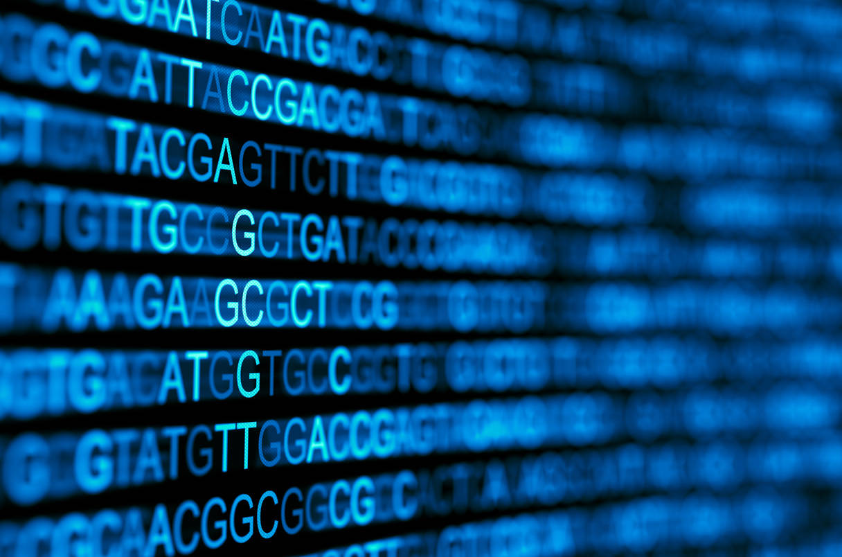 Secuencia de ADN digital utilizada en análisis bioinformático y genómico